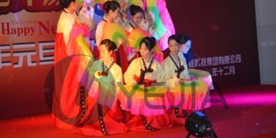 永利yl23411科技集团2017年元旦晚会圆满成功