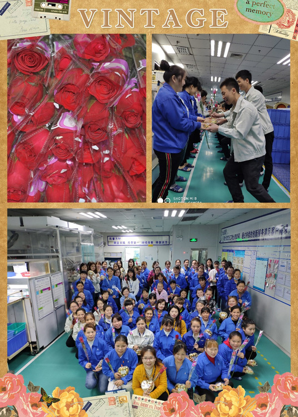 永利yl23411光电女神节